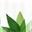Logo Boutique Verte